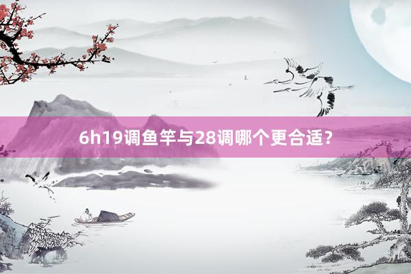 6h19调鱼竿与28调哪个更合适？